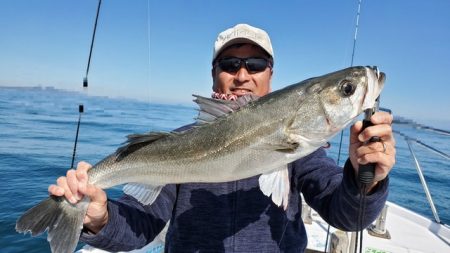 遊漁船　ニライカナイ 釣果