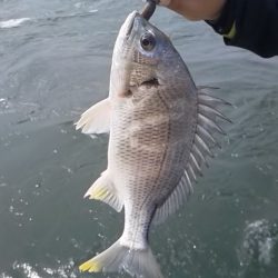 さわ浦丸 釣果