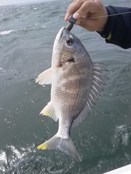 さわ浦丸 釣果
