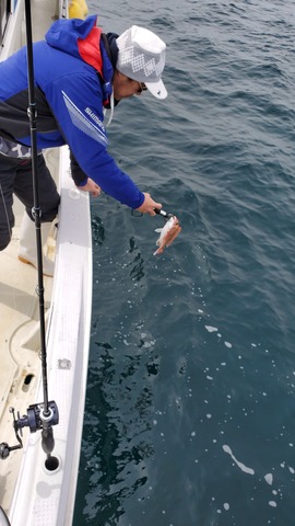 遊漁船 ニライカナイ 釣果