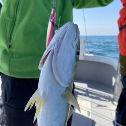 ミタチ丸 釣果