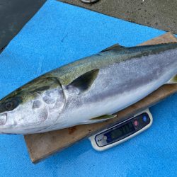 まるいち丸 ZERO-1 釣果