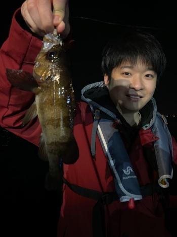 シーマジカル 釣果