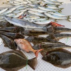 ミタチ丸 釣果