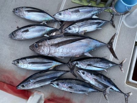 へいみつ丸 釣果