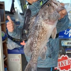 遊漁船　ニライカナイ 釣果