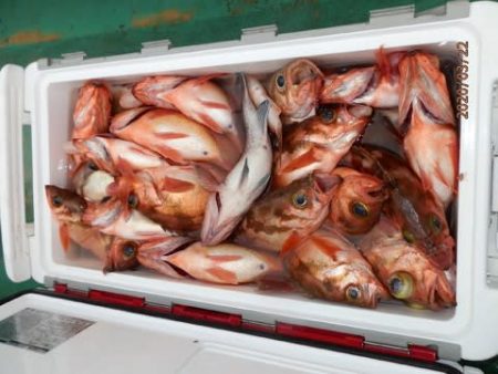 第二むつ漁丸 釣果