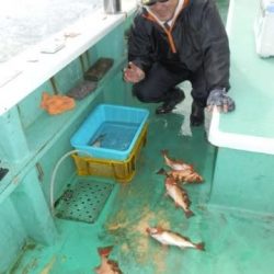 第二むつ漁丸 釣果