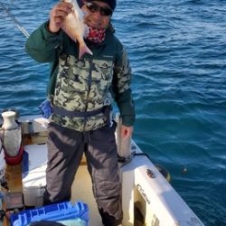 遊漁船 ニライカナイ 釣果