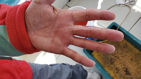 遊漁船　ニライカナイ 釣果