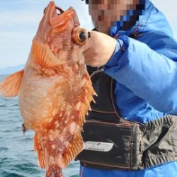 遊漁船　ニライカナイ 釣果