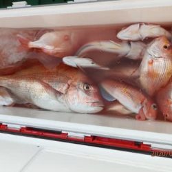 第二むつ漁丸 釣果