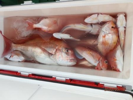 第二むつ漁丸 釣果