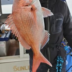 遊漁船 ニライカナイ 釣果