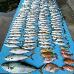 まるいち丸 ZERO-1 釣果