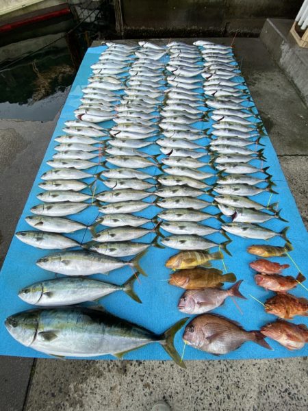 まるいち丸 ZERO-1 釣果