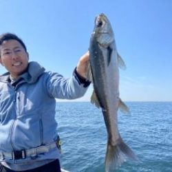 シーマジカル 釣果