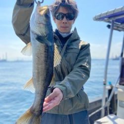 シーマジカル 釣果