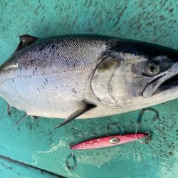 広進丸 釣果