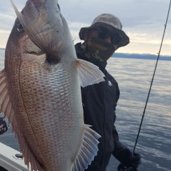 海峰 釣果