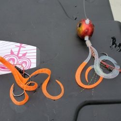 遊漁船 ニライカナイ 釣果