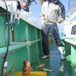 第二むつ漁丸 釣果