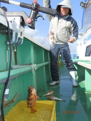 第二むつ漁丸 釣果