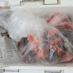 第二むつ漁丸 釣果