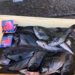 伊豆下田フィッシング 釣果