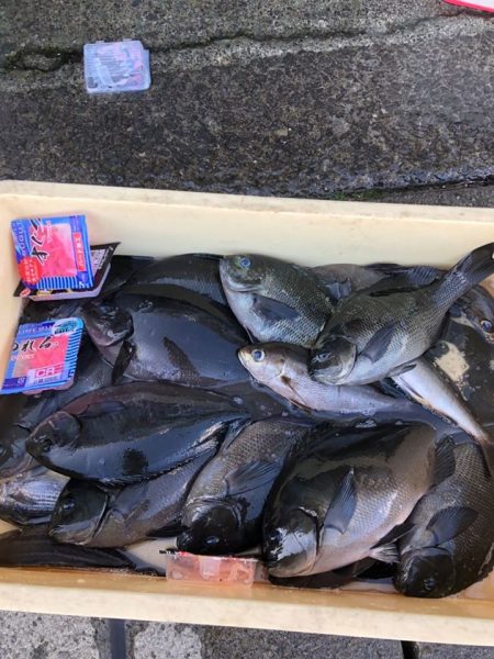 伊豆下田フィッシング 釣果