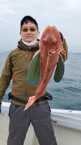 遊漁船 ニライカナイ 釣果