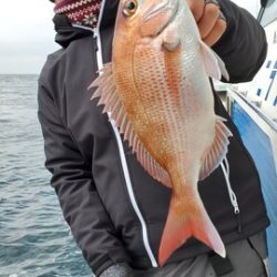 遊漁船 ニライカナイ 釣果