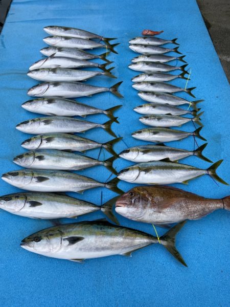 まるいち丸 ZERO-1 釣果