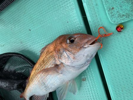 さんさん丸 釣果