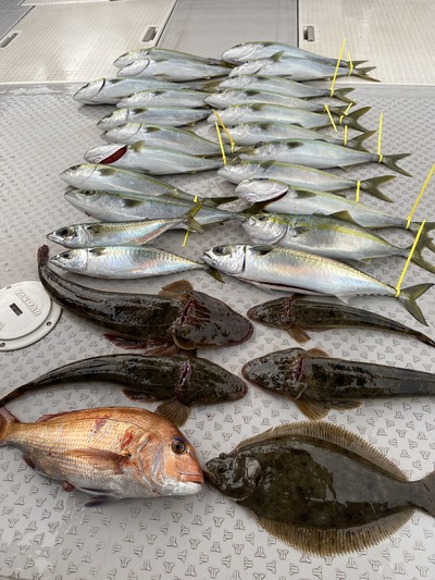 ミタチ丸 釣果