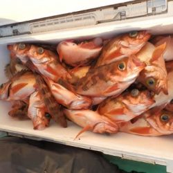 第二むつ漁丸 釣果