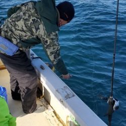 遊漁船 ニライカナイ 釣果