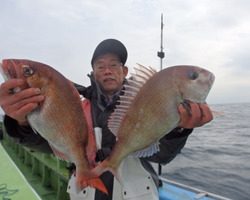 久里浜黒川本家 釣果