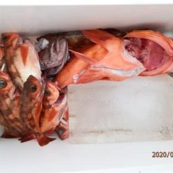 第二むつ漁丸 釣果