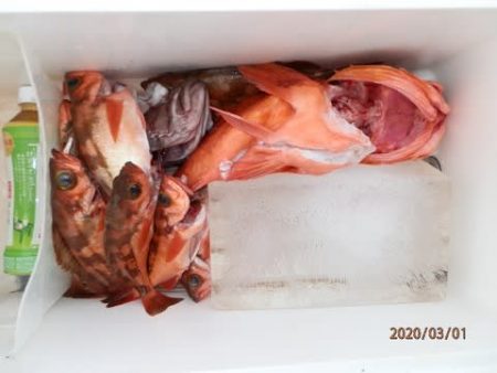 第二むつ漁丸 釣果