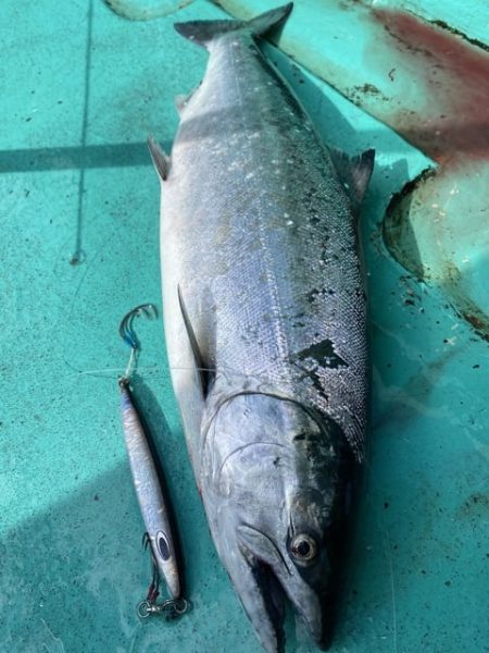 広進丸 釣果
