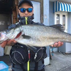 伊豆下田フィッシング 釣果
