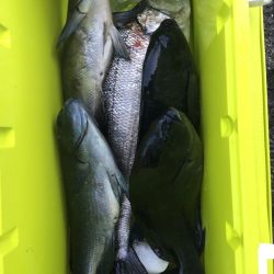 伊豆下田フィッシング 釣果