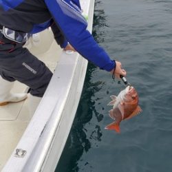 遊漁船 ニライカナイ 釣果