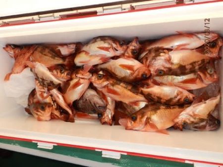 第二むつ漁丸 釣果