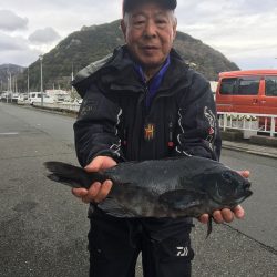 伊豆下田フィッシング 釣果