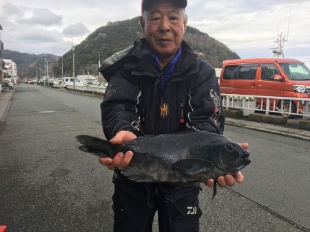 伊豆下田フィッシング 釣果