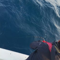 第五慶門丸 釣果