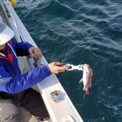 遊漁船 ニライカナイ 釣果