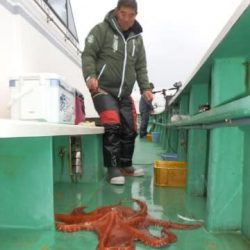 第二むつ漁丸 釣果